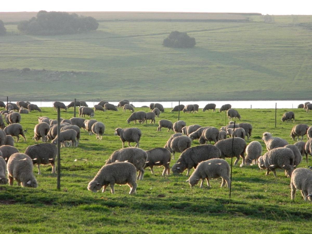 ארמלו La Vista Farm Stay מראה חיצוני תמונה