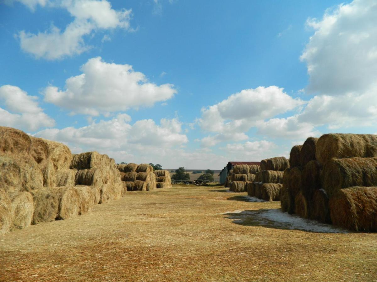 ארמלו La Vista Farm Stay מראה חיצוני תמונה